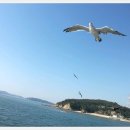 국사봉 누리길 이미지