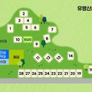 유명산258 이미지