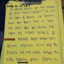 수아네 농장 | 용인 동백초등학교 6학년 수아네가족의 귤따기 체험후기