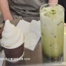 나무여행 | 은행나무 800년 가을, 장수동 은행나무 자전거 여행 후기 🚴‍♀️