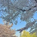 반월놀이공원 이미지