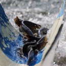 산유낚시터 이미지