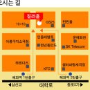 미스터콩 이미지