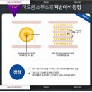 미오름 이미지