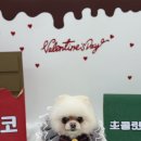 허그몽몽 이미지