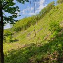 황조리마을회관 이미지