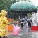 새벽어린이공원 이미지