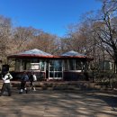 한라산백록담 | [한라산/백록담] 성판악 코스 후기 ㅣ 1,947m의 순상화산이자 세계 자연유산