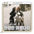 영화 인생은 아름다워 정보 CGV 재개봉 상영일정 - 레전드 명작 컴백 / 90년대 해외영화