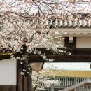 문화와 함께하는 여행 일본어 이미지