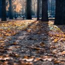 미소삼대한의원 이미지