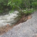 순천-65호 이미지