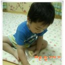 설탕별 이미지