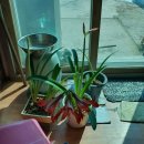 행선농장 이미지