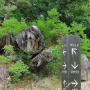 팔공산왕건길 3코스 이미지