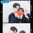 두두와도리 이미지