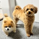 수죽길 | 죽기 전까지 즐겁게 살 거 같지 않아?