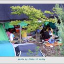 진부리유원지 이미지