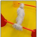 부천애견미용 멍미살롱2호점 | 부천강아지호텔 멍미 실시간 CCTV 확인과 안전한 놀이 시설