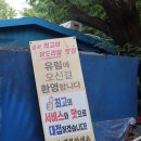 좋은친구들 | 강서구청 맛집 유림 닭볶음탕,맛있는 녀석들에도 소개된 곳:)