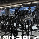 리얼 스트렝스 짐 이미지