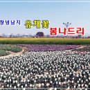 꽃나드리 - 순천시 중앙로 332 | 꽃나드리