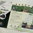 미남농장 이미지