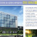 안산스타 이미지
