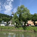 옹주물로 이미지