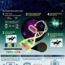 [재미있는 과학] USB 아닌 몸속 DNA에 파일 저장하는 시대 올까요 이미지