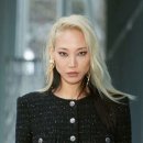 샤넬노래바 이미지