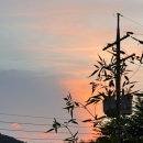 더 스틸 이미지