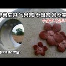 올레길12코스(용수포구~수월봉지질트레일~녹남봉~무릉도원)도보여행 동영상 이미지