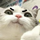 하대동양꼬치