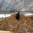 햇살 염소농장 이미지