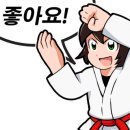 퍼펙트태권도 이미지