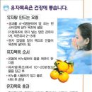 고흥이야기 이미지