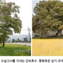 삼기조아유마을 이미지