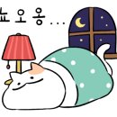 대창가방 네이버블로그