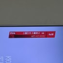 이천이십이년 물오름달 2🍓