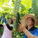 함양물레방아떡마을영농조합법인 이미지