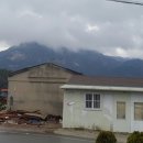 손오공농장 이미지