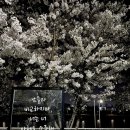 송정우리약국 이미지