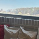 심학산도토리 국수 이미지