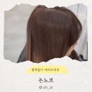 논노브 | 전포미용실 부산탈색 탈색없이 애쉬브라운 인생 머리 찾았어요! 전포 논노브 재재점장님 솔직 후기