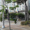 남양로, 남양중앙로 이미지