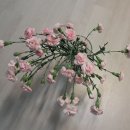 송현농장 이미지