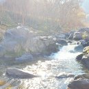 봉화공인중개사사무소 이미지