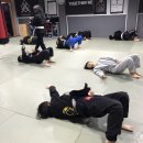 구로주짓수&MMA, 레슬링 이미지