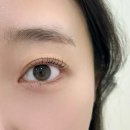 중앙타워(산본중앙타워) | 산본 속눈썹펌 잘하는곳 | 다몽래쉬 위아래 듀얼펌 후기